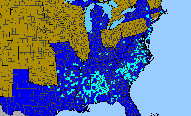 The range of Vicia grandiflora